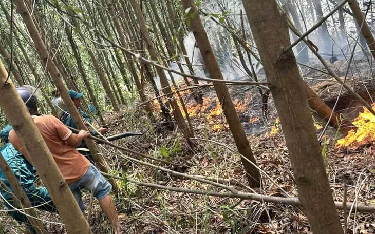  TP.HCM yêu cầu hạn chế cắt điện giờ nắng nóng, phải báo trước nếu ngừng điện - Ảnh 3.