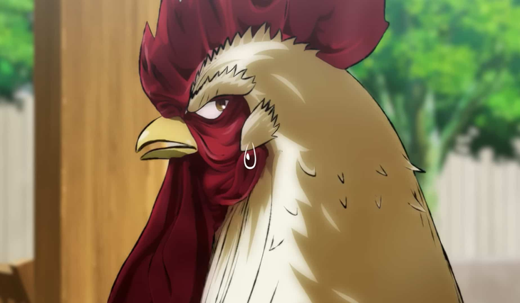 My Hero Academia - Ảnh 1.