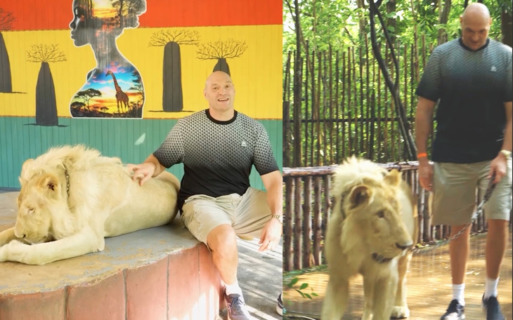 Fan Tottenham ‘sốc’ khi hậu vệ Ben Davies được cân nhắc làm HLV tạm quyền - Ảnh 3.