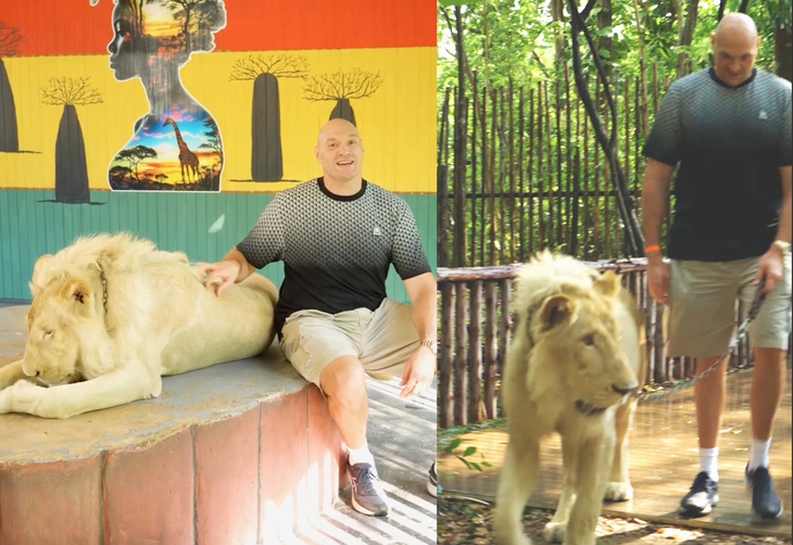 Tyson Fury - Ảnh 1.