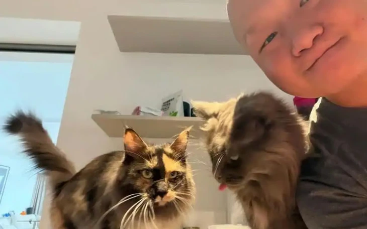 Vì sao người trẻ Nhật Bản chui vào quan tài để... thiền? - Ảnh 3.