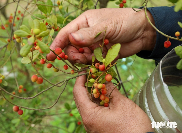 dãy Hoành Sơn - Ảnh 2.