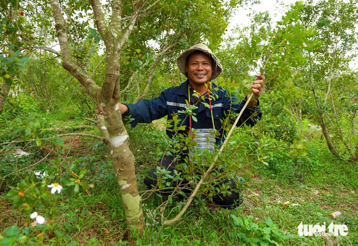 dãy Hoành Sơn - Ảnh 3.