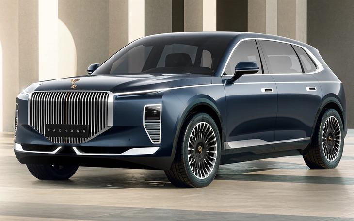 VinFast nhận giải 'Tân binh của năm' tại Ấn Độ - Ảnh 2.