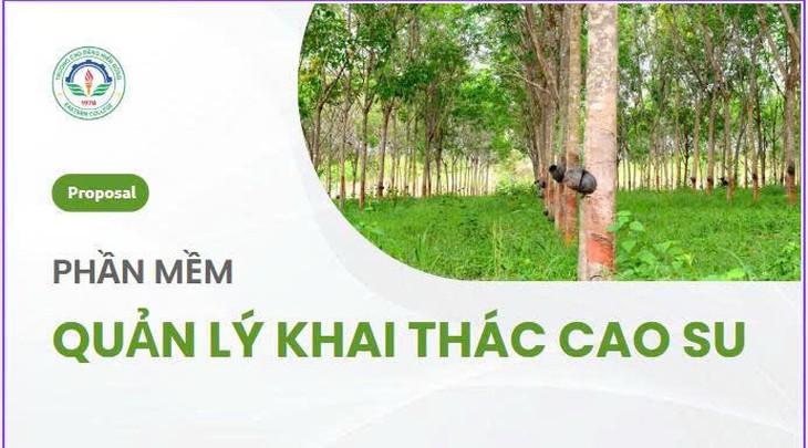 tập đoàn Công nghiệp Cao su Việt Nam - Ảnh 2.