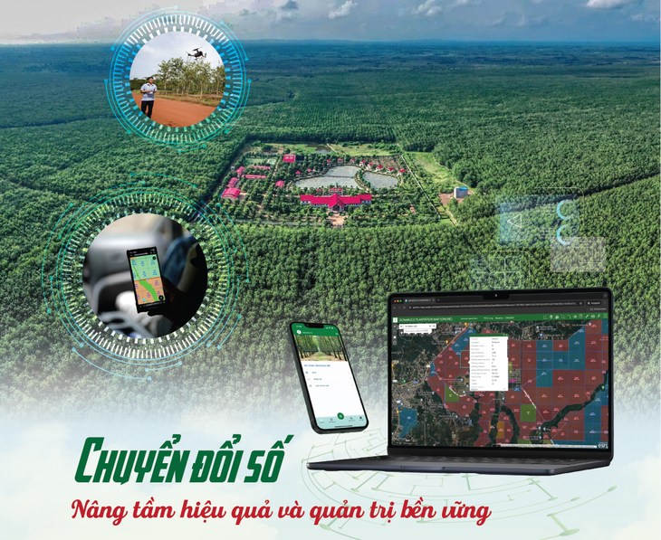 tập đoàn Công nghiệp Cao su Việt Nam - Ảnh 4.