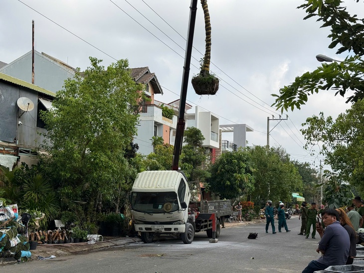 Cẩu cây cảnh chạm vào đường dây điện, tài xế bị điện giật chết - Ảnh 1.