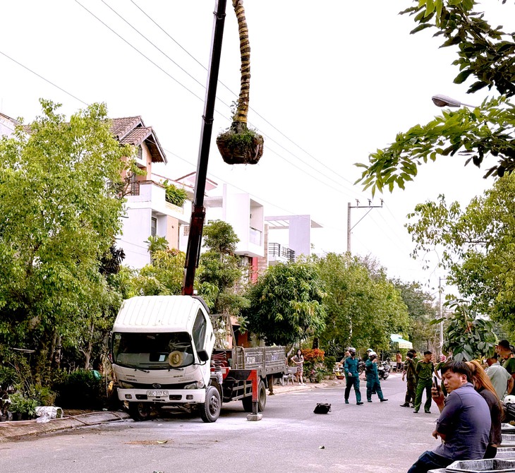 Cẩu cây cảnh chạm vào đường dây điện, tài xế bị điện giật chết - Ảnh 1.