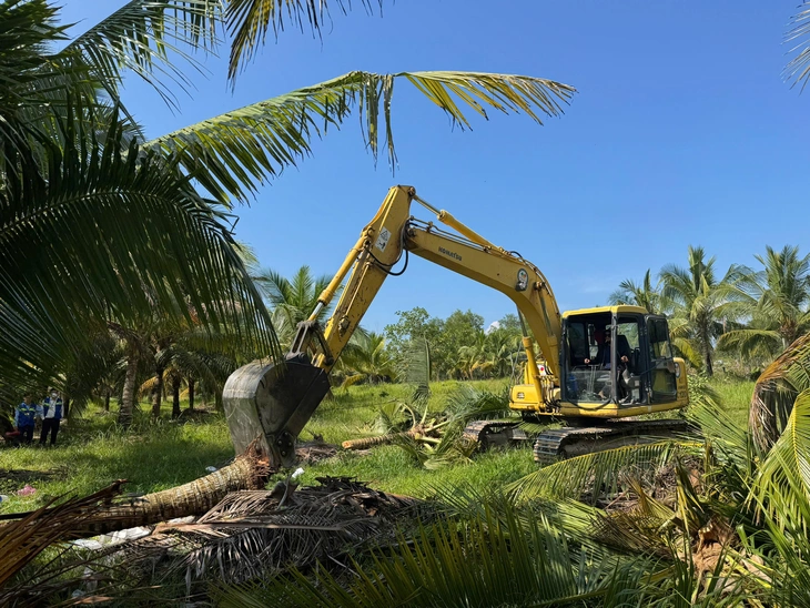 Cưỡng chế thu hồi gần 1ha đất ở Phú Quốc - Ảnh 1.