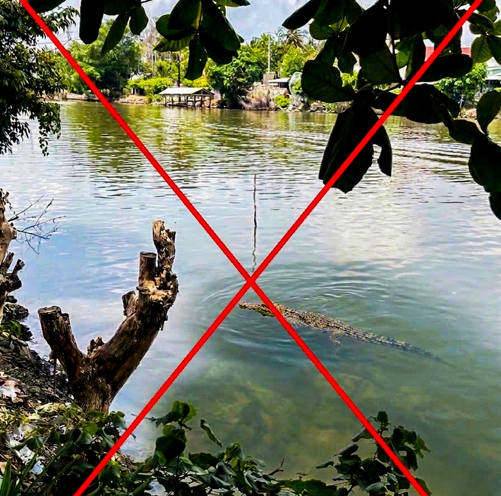 Tạo hình cá sấu trên sông bằng AI để 'hù' em gái, công an xã phải vào cuộc - Ảnh 1.