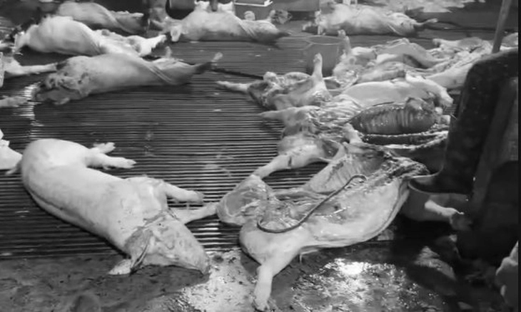 thủ tướng - Ảnh 1.