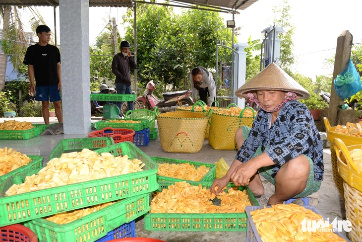 Giá mít Thái 'chạm đáy', nhà vườn miền Tây xoay xở đủ đường để gỡ gạc - Ảnh 4.