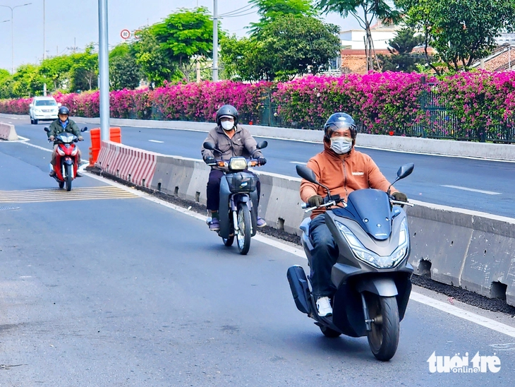 hoa giấy - Ảnh 13.