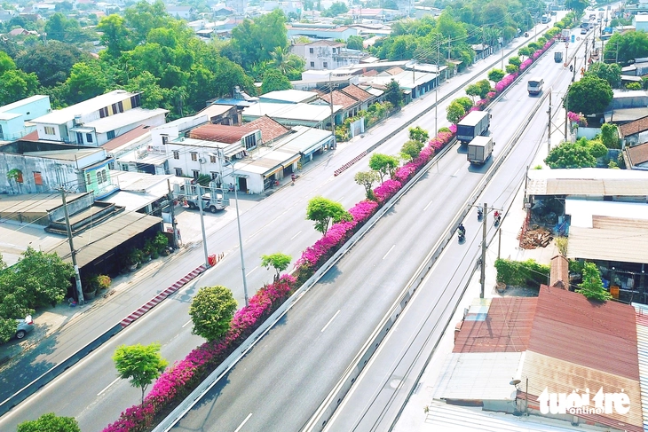 hoa giấy - Ảnh 14.