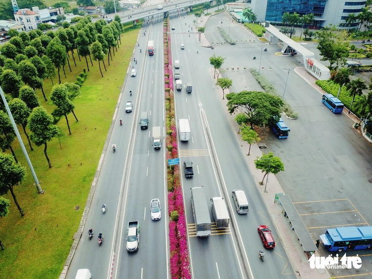 hoa giấy - Ảnh 7.