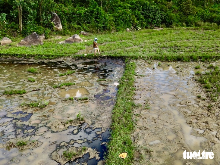 cao tốc - Ảnh 1.