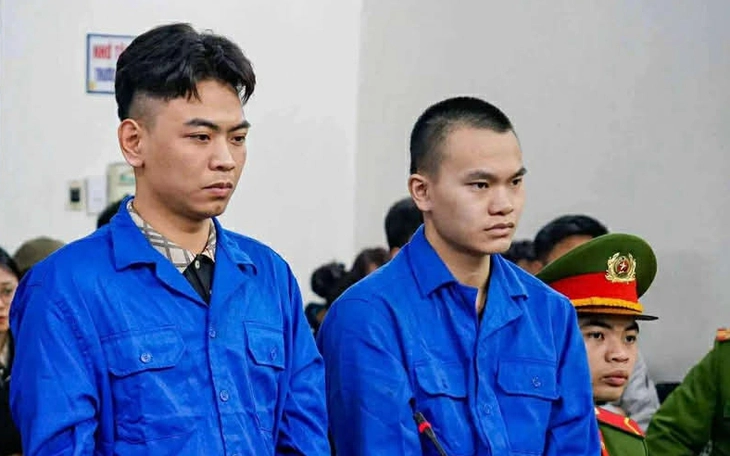 Đánh người vì cho rằng bóp còi xe làm đàn trâu hoảng sợ, 3 người bị bắt giam - Ảnh 3.