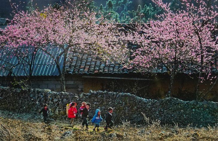 nhiếp ảnh - Ảnh 10.