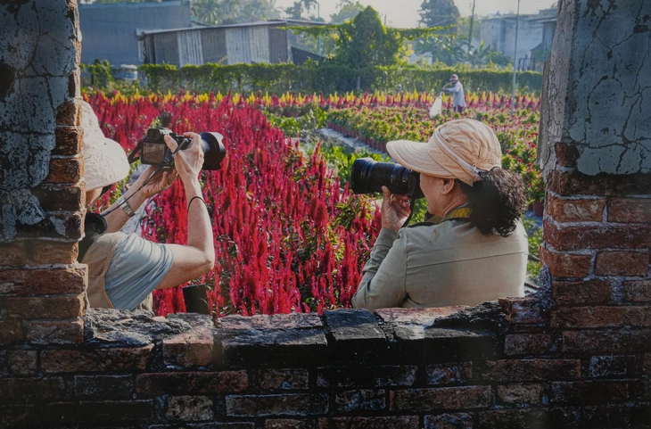 nhiếp ảnh - Ảnh 11.