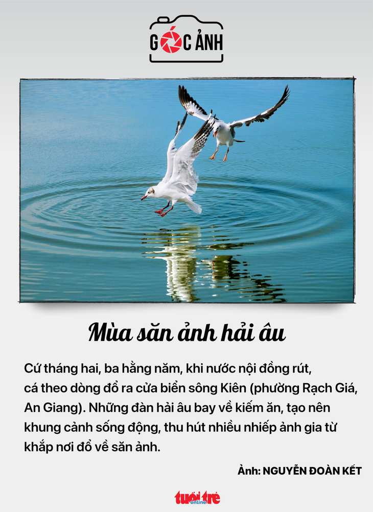 tin tức - Ảnh 6.