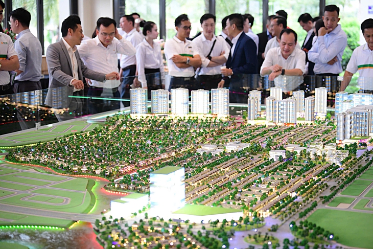 mã định danh - Ảnh 3.