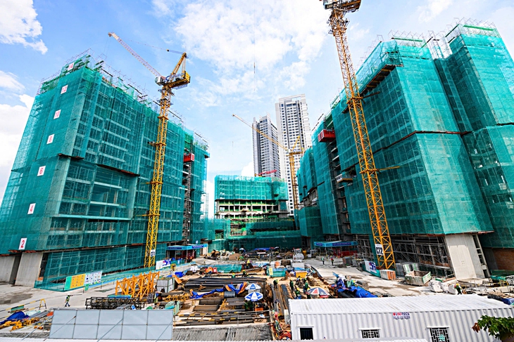 mã định danh - Ảnh 2.