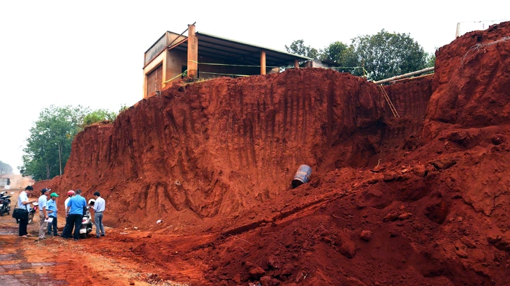 Đồng Nai - Ảnh 1.