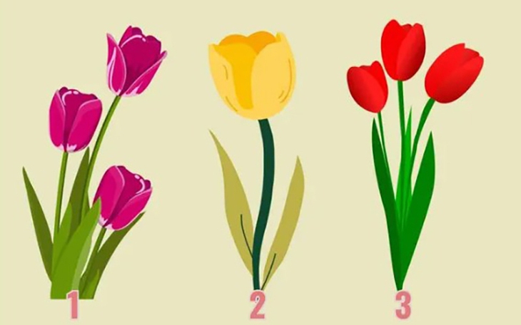 Quiz: Bạn có trực giác nhạy bén như 'giác quan thứ sáu'? - Ảnh 2.