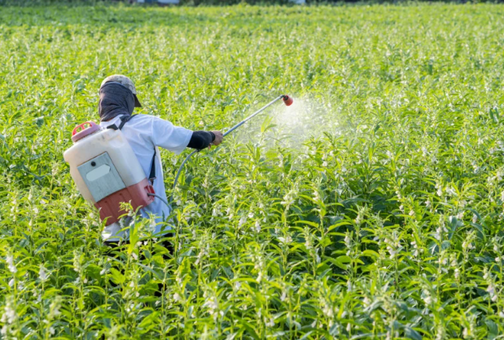 thuốc diệt nấm - Ảnh 2.