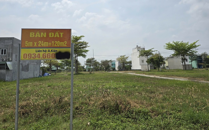 Phó chủ tịch Bùi Minh Thạnh: Nghiên cứu quy định diện tích tối đa cho tách thửa để tránh phân lô - Ảnh 2.