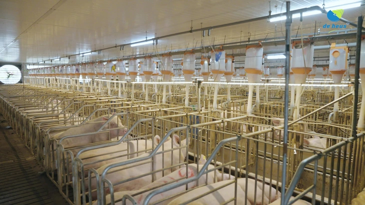 Tập đoàn - Ảnh 2.