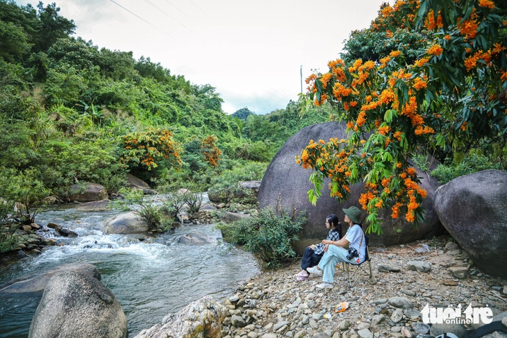 Đà Nẵng - Ảnh 4.