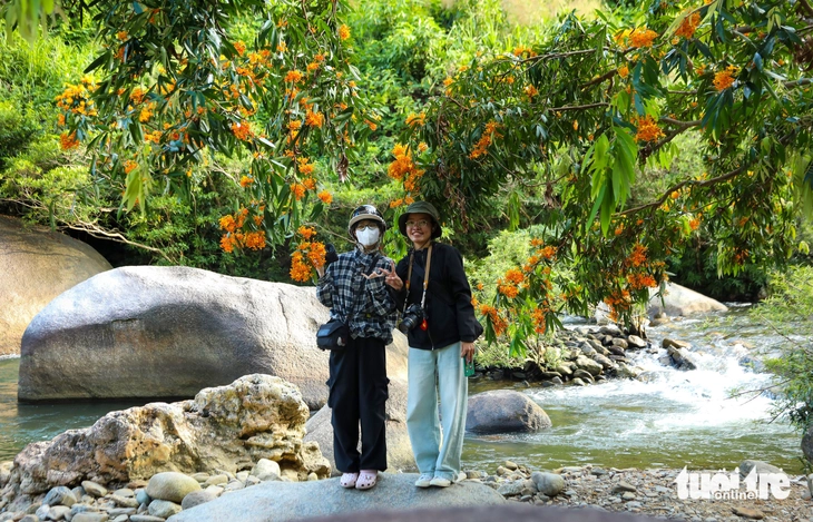 Đà Nẵng - Ảnh 10.