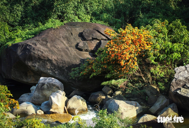 Đà Nẵng - Ảnh 8.