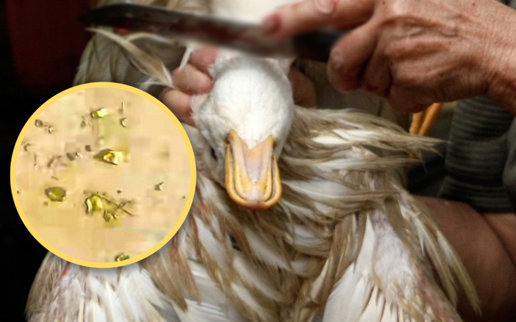 Cắn miếng burger 'giả trân', pha quảng cáo của một CEO đi vào lòng đất - Ảnh 3.