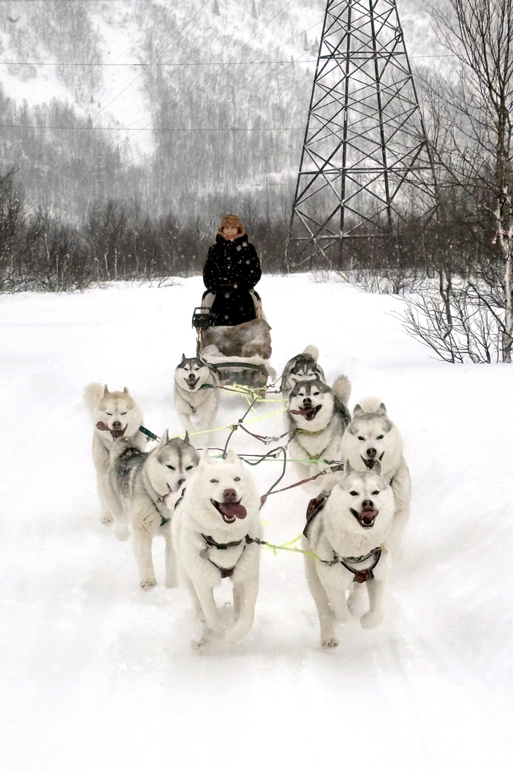 Đoan Trường - Ảnh 4.