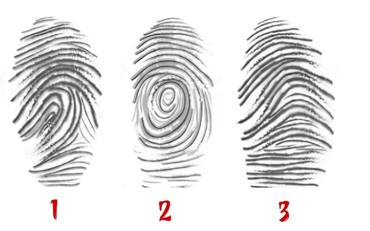 Quiz: Bạn luôn nỗ lực vươn lên hay là người tinh thần mạnh mẽ - Ảnh 2.