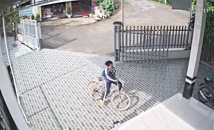 KHÁCH LẠ - Ảnh 1.