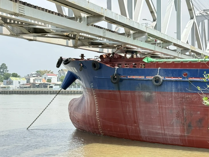 Đồng Nai - Ảnh 3.