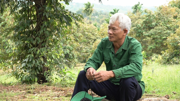 Như chưa hề có cuộc chia ly - Ảnh 3.