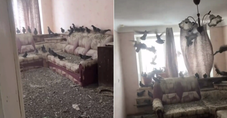 căn hộ - Ảnh 1.