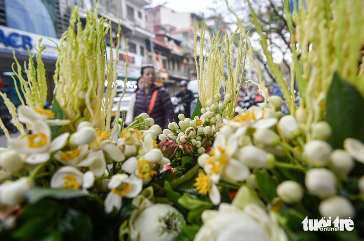 Mùa hoa bưởi xuống phố - Ảnh 5.