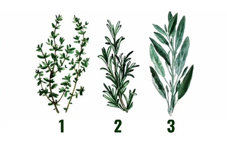 Quiz: Bạn suy nghĩ sâu sắc hay là người tràn đầy nhiệt huyết? - Ảnh 4.