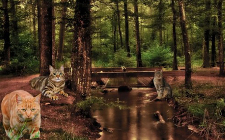 Thử tài IQ: Di chuyển một que diêm để 0-4+2=8 thành phép tính đúng - Ảnh 9.