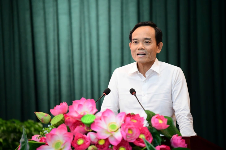 Trần Lưu Quang - Ảnh 2.