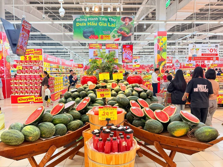 Hàng ngàn héc ta dưa hấu vào vụ thu hoạch rộ, Gia Lai nhờ các tỉnh hỗ trợ tiêu thụ - Ảnh 1.