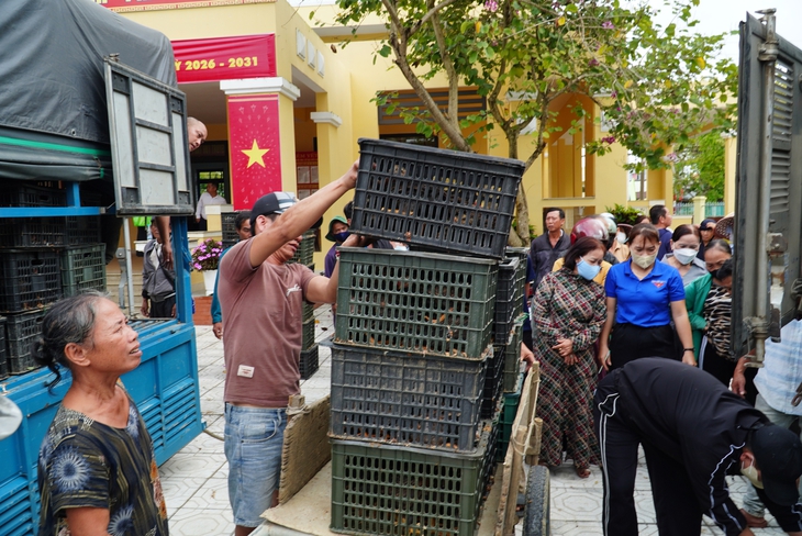 Đà Nẵng - Ảnh 6.