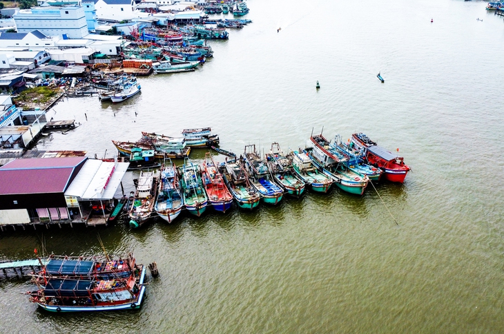 Ngư dân tìm cách giảm chi phí, bám biển - Ảnh 1. ngư dân - Ảnh 1.