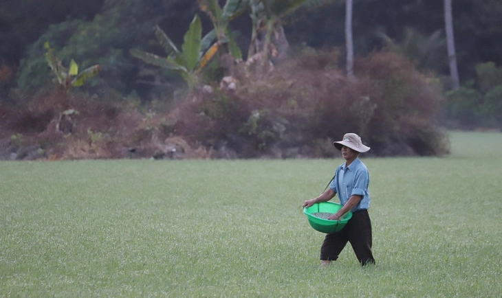 Phân bón tăng giá, kêu gọi nông dân tiết kiệm - Ảnh 1. phân bón - Ảnh 1.