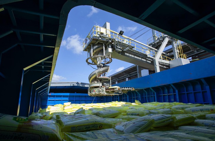 Phân Bón Cà Mau - Ảnh 2.